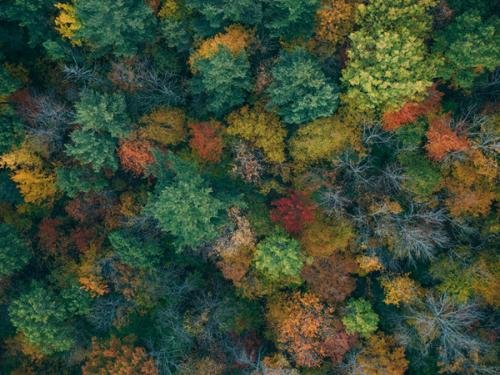 Overview Photo by <a href="https://unsplash.com/@zekedrone?utm_source=unsplash&utm_medium=referral&utm_content=creditCopyText">Martin Sanchez</a> on <a href="https://unsplash.com/s/photos/overview?utm_source=unsplash&utm_medium=referral&utm_content=creditCopyText">Unsplash</a>   